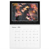 Najaarskleuren 2017 agenda van Thomas Minutolo Kalender (Feb 2026)