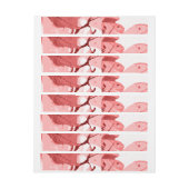 Najaarskleuren, bladeren 3 (Vel)