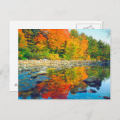 Najaarskleuren die in een stroom in Vermont reflec Briefkaart (Voorkant / Achterkant)