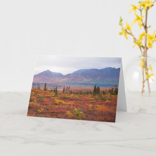 Najaarskleuren in het natuurpark Denali , alaska Kaart (Gele Bloem)