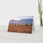 Najaarskleuren in het natuurpark Denali , alaska Kaart (Voorkant)