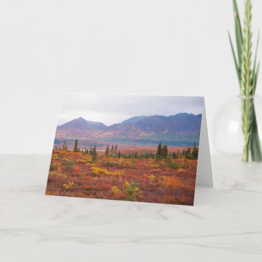 Najaarskleuren in het natuurpark Denali , alaska Kaart (Voorkant)