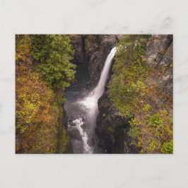 najaarskleuren op de Herfsten van elk Briefkaart