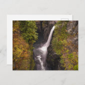 najaarskleuren op de Herfsten van elk Briefkaart (Voorkant / Achterkant)