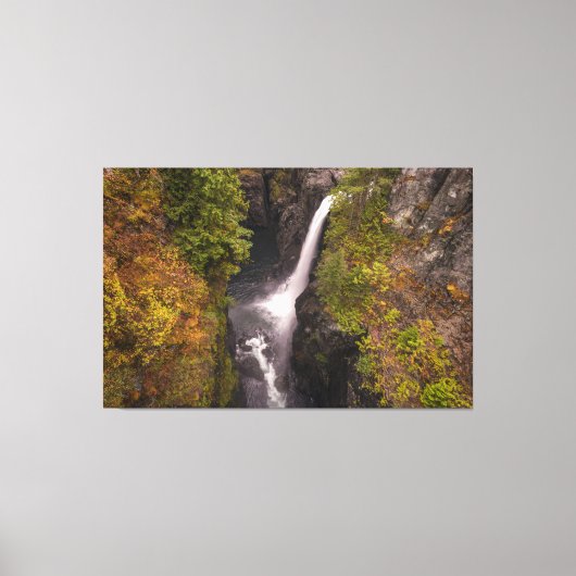 najaarskleuren op de Herfsten van elk Canvas Afdruk (Voorkant)