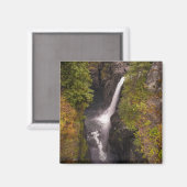 najaarskleuren op de Herfsten van elk Magneet (Voorkant / Achterkant)