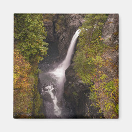 najaarskleuren op de Herfsten van elk Magneet