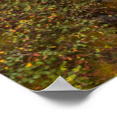 najaarskleuren op de Herfsten van elk Poster (Hoek)