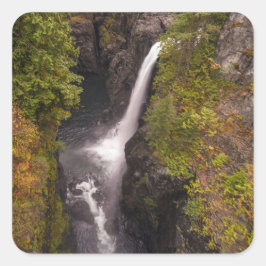 najaarskleuren op de Herfsten van elk Vierkante Sticker