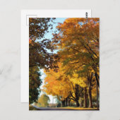 Najaarskleuren op landweg briefkaart (Voorkant / Achterkant)