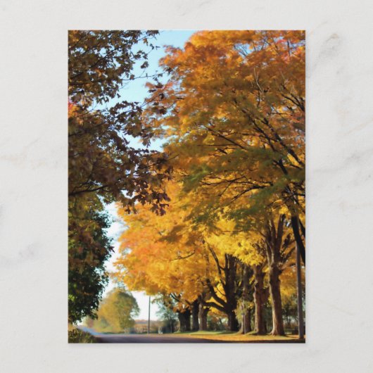 Najaarskleuren op landweg briefkaart (Voorkant)