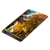 Najaarskleuren op landweg magneet (Linkerzijde)