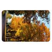 Najaarskleuren op landweg magneet (Horizontaal)