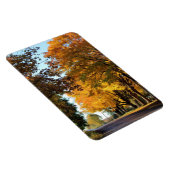 Najaarskleuren op landweg magneet (Rechterzijde)