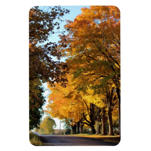 Najaarskleuren op landweg magneet (Verticaal)