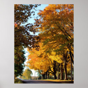 Najaarskleuren op landweg poster