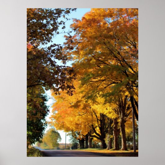 Najaarskleuren op landweg poster (Voorkant)