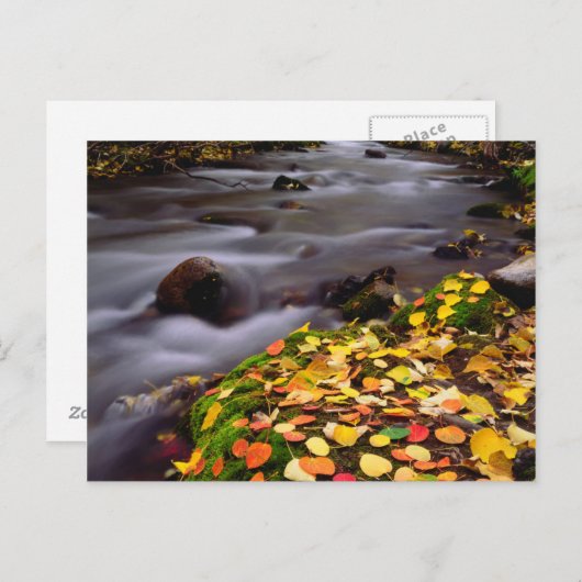 Najaarskleuren van McGee Creek Briefkaart (Voorkant / Achterkant)