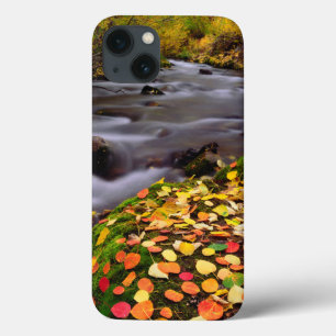 Najaarskleuren van McGee Creek Case-Mate iPhone Case