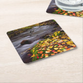 Najaarskleuren van McGee Creek Kartonnen Onderzetters (Schuin)