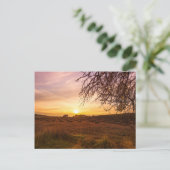 Najaarslavenveld op zonsondergang briefkaart (Staand voorkant)