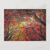 Najaarslicht Briefkaart (Voorkant)