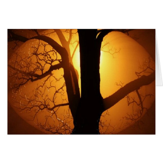 Najaarsmaan door de boom schitteren (Voorkant Horizontaal)