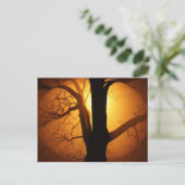 Najaarsmaan door de boom schitteren briefkaart (Staand voorkant)