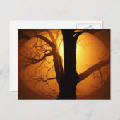 Najaarsmaan door de boom schitteren briefkaart (Voorkant / Achterkant)