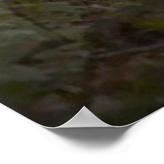 Najaarsporen Poster (Hoek)