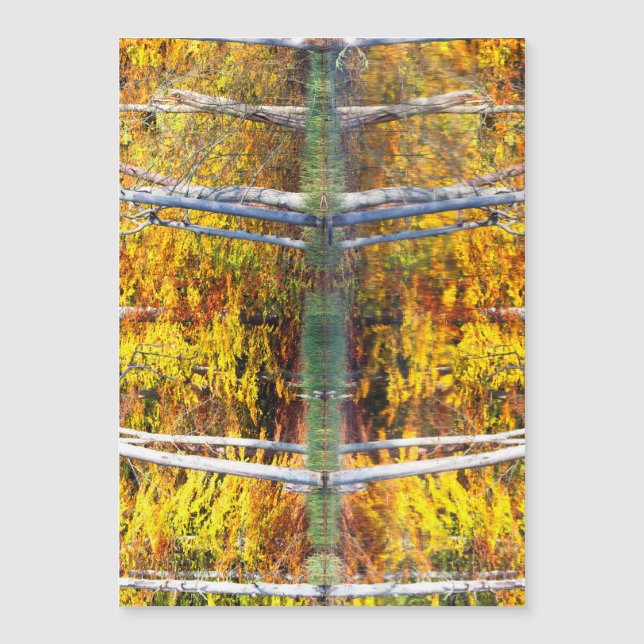 Najaarsreflectie (Voorkant)