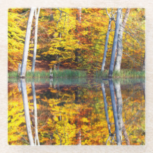 Najaarsreflectie Glazen Onderzetter