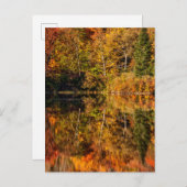 Najaarsreflectie op Coffin Pond Briefkaart (Voorkant / Achterkant)