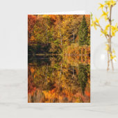 Najaarsreflectie op Coffin Pond Kaart (Gele Bloem)