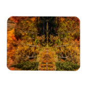 Najaarsreflectie op Coffin Pond Magneet (Horizontaal)