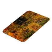 Najaarsreflectie op Coffin Pond Magneet (Linkerzijde)