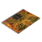 Najaarsreflectie op Coffin Pond Notitieboek (Linkerzijde)