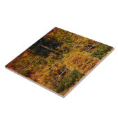 Najaarsreflectie op Coffin Pond Tegeltje (Zijkant)