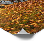 Najaarsreflectie Poster (Hoek)