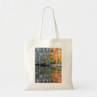 Najaarsreflectie Tote Bag
