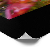 Najaarsregen Poster (Hoek)