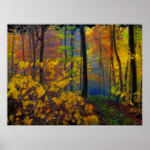 Najaarsregen, poster (Voorkant)