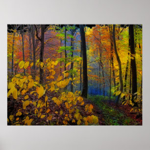 Najaarsregen, poster