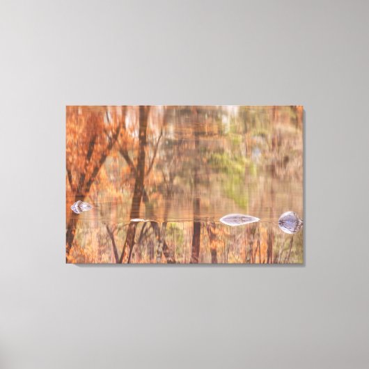 najaarsrivierreflectie canvas afdruk (Voorkant)