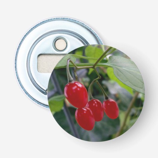 Najaarsrode vlekken button flesopener (Voorkant)