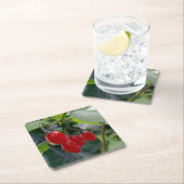 Najaarsrode vlekken kartonnen onderzetters (Insitu)