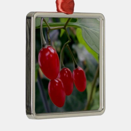 Najaarsrode vlekken metalen ornament (Rechts)