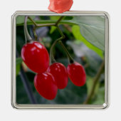 Najaarsrode vlekken metalen ornament (Voorkant)