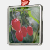 Najaarsrode vlekken metalen ornament (Links)