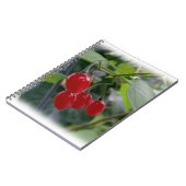 Najaarsrode vlekken notitieboek (Linkerzijde)